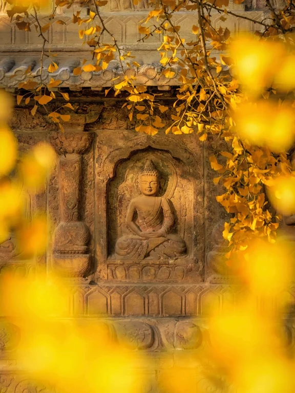 Haidian travel guide image 13-3