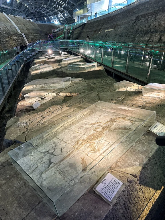 Zhaoyang travel guide image 17-1