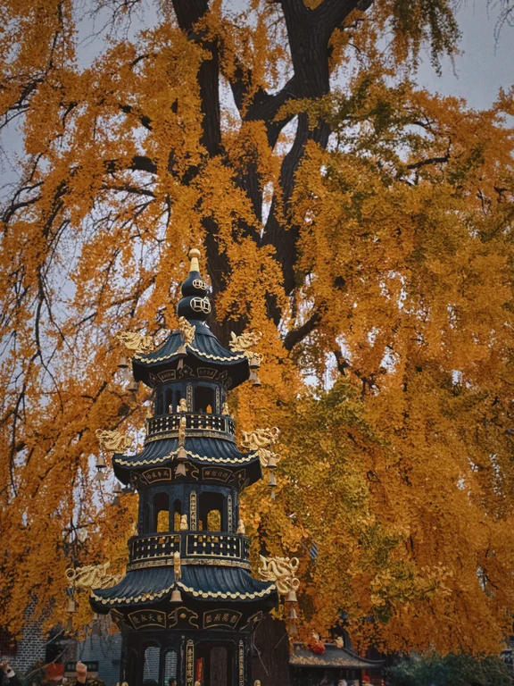 Shijingshan travel guide image 3-3