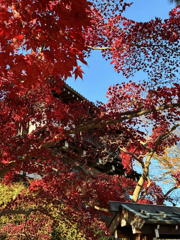 Akita travel guide image 2-2