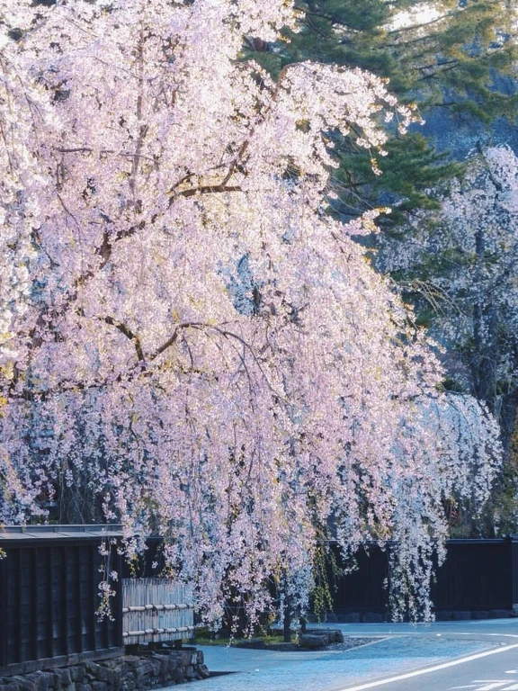 Akita travel guide image 12-1