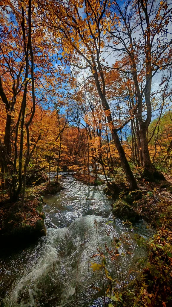 Aomori travel guide image 5-1