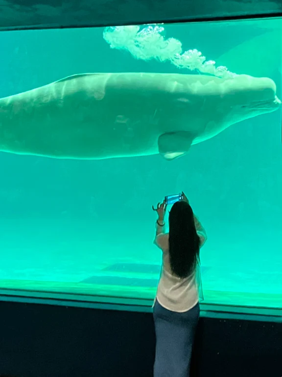 Chiba travel guide image 5-2