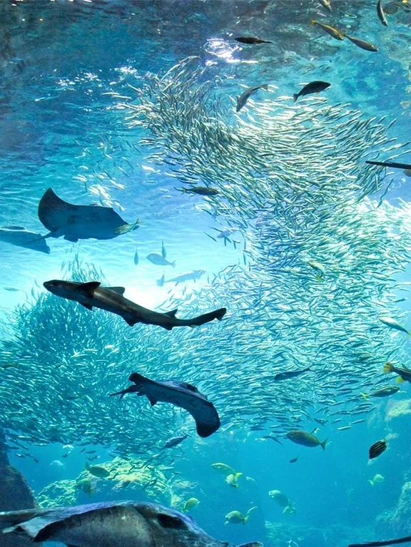 Chiba travel guide image 5-3