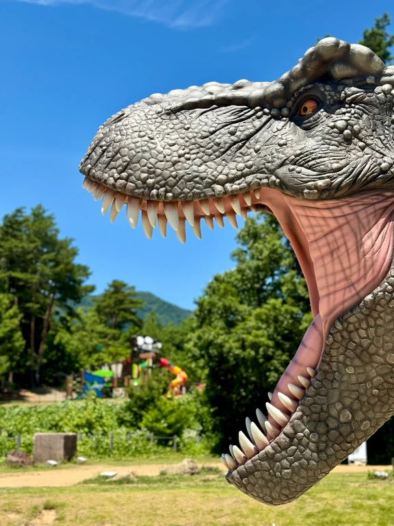Fukui travel guide image 7-3