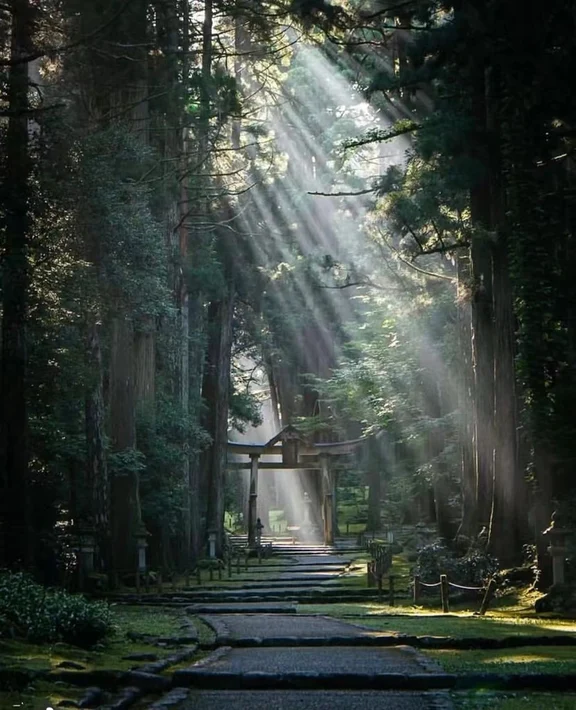 Fukui travel guide image 11-1
