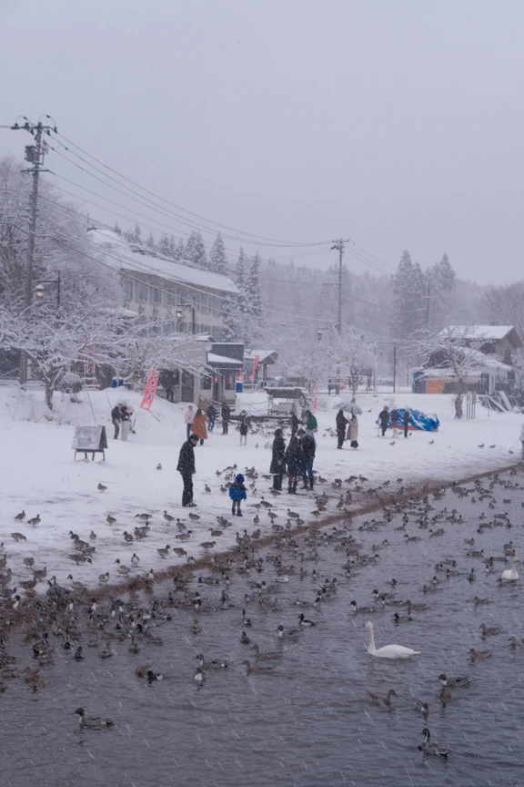 Fukushima travel guide image 13-3