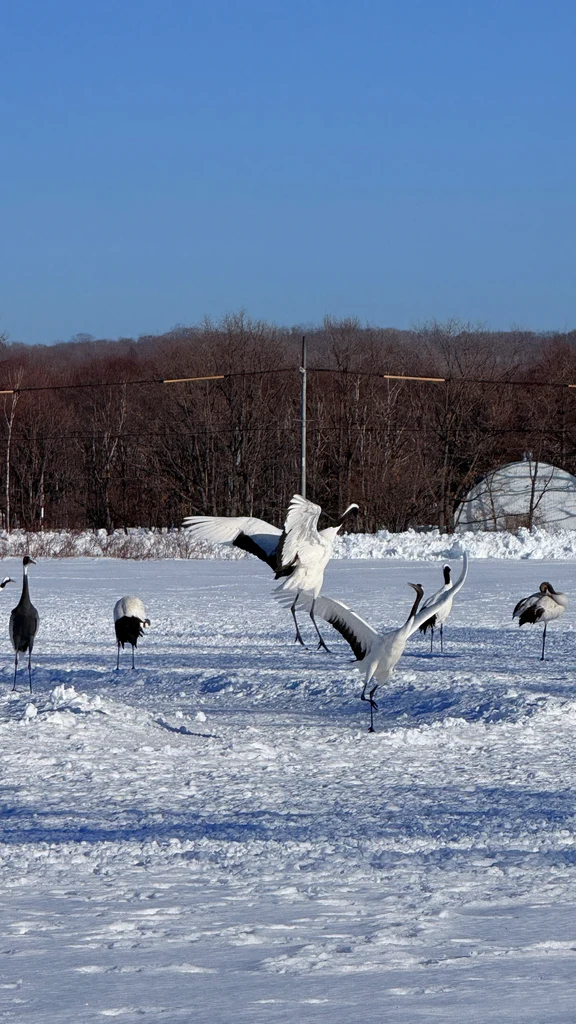 Kushiro travel guide image 3-3