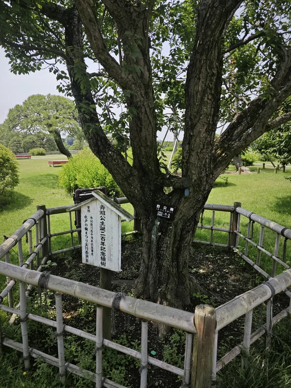 Mito travel guide image 1-1