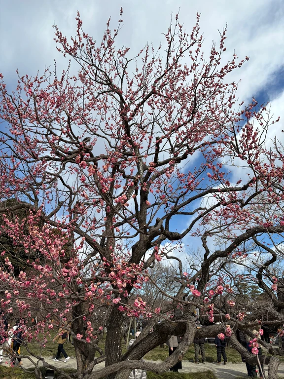 Mito travel guide image 11-1