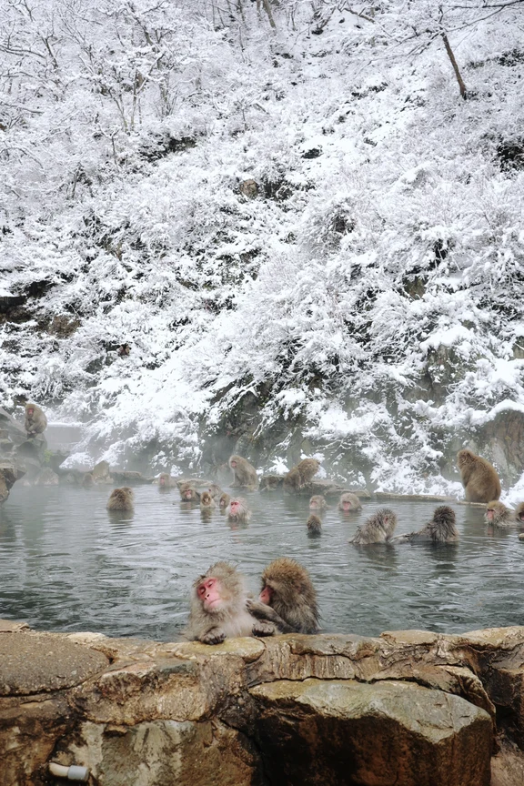 Nagano travel guide image 1-2