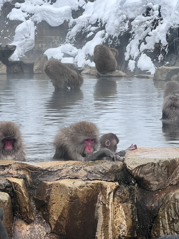 Nagano travel guide image 1-3