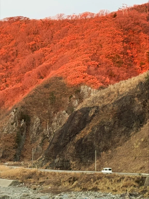 Niigata travel guide image 11-1