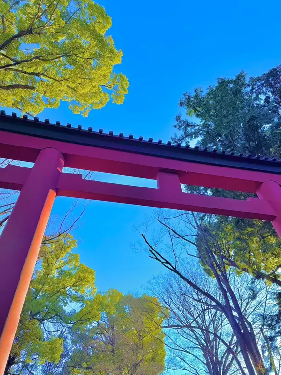 Saitama travel guide image 9-2