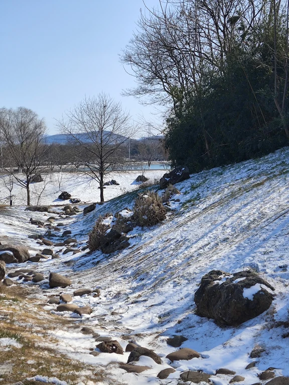 Saitama travel guide image 15-1