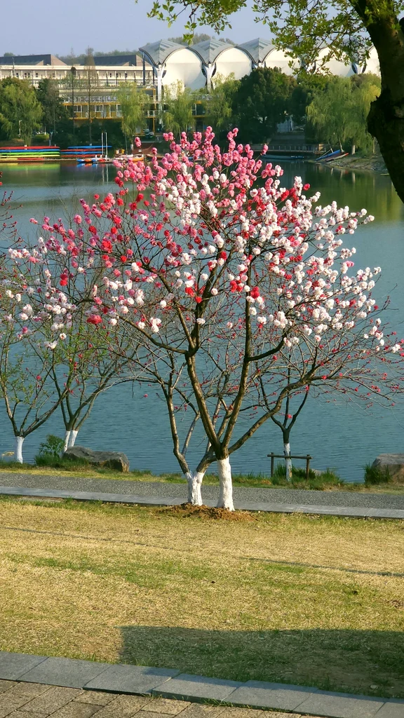 Saitama travel guide image 15-2