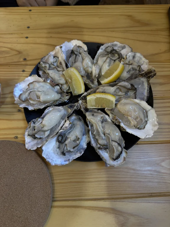 Oysters image