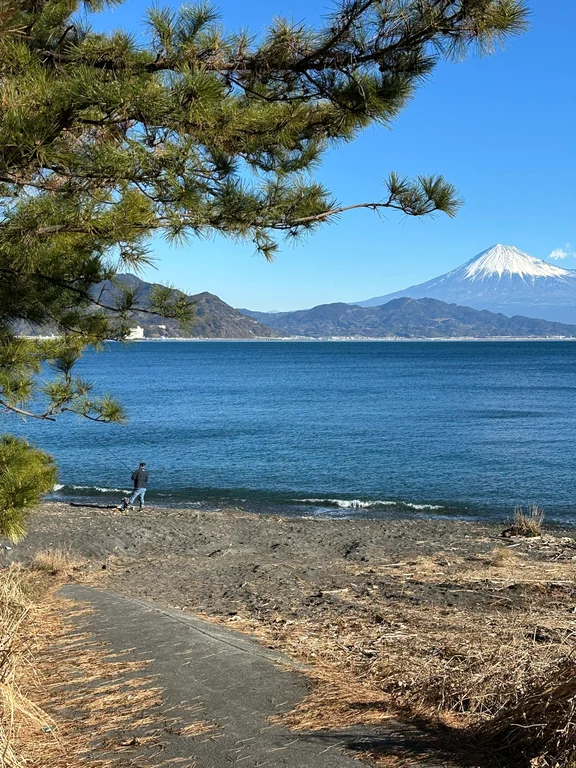 Shizuoka travel guide image 5-3