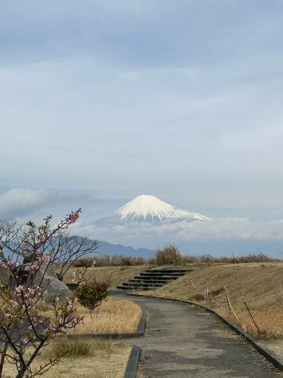Shizuoka travel guide image 13-3