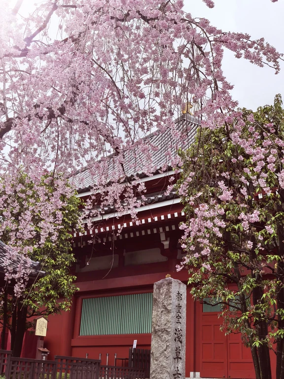 Tokyo travel guide image 1-2