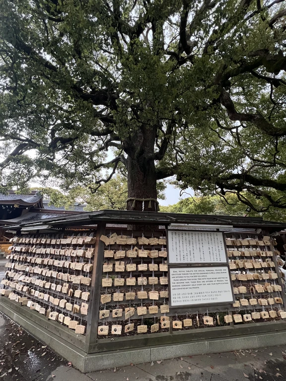 Tokyo travel guide image 7-2