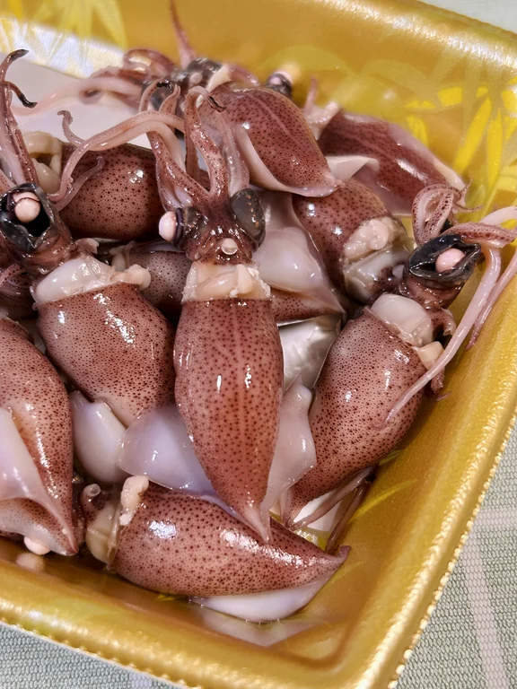 Firefly Squid image
