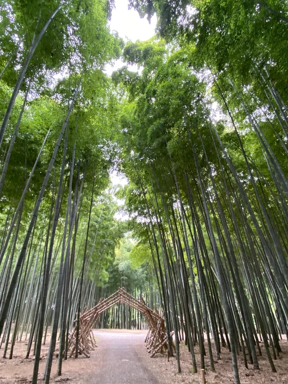 Utsunomiya travel guide image 3-1