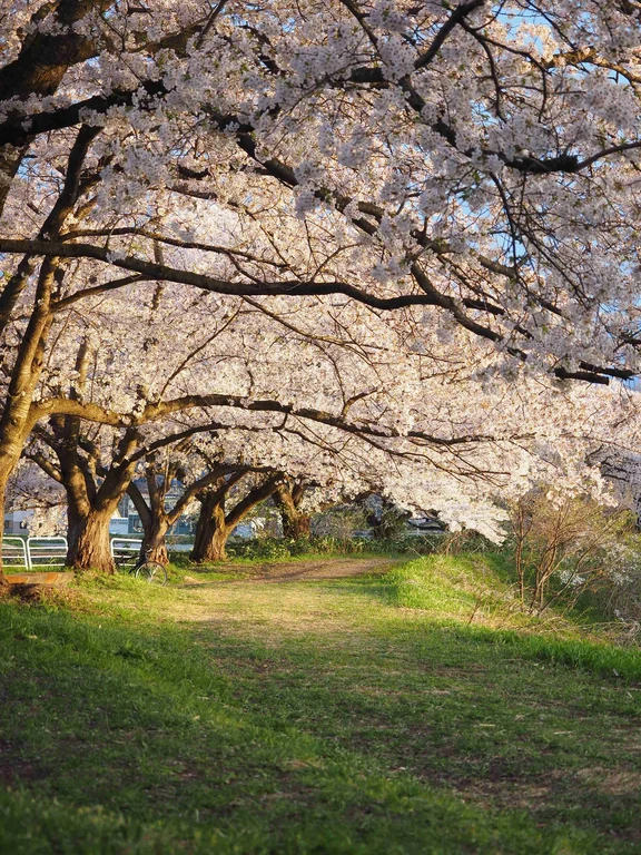 Yamagata travel guide image 1-3