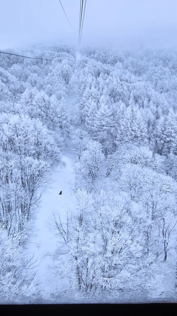 Yamagata travel guide image 15-2